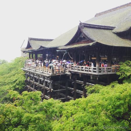 มุมมหาชน