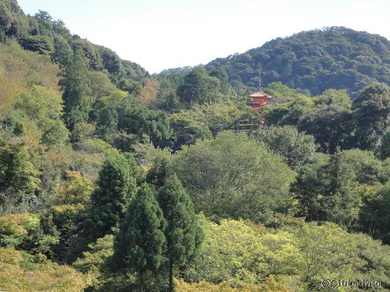 舞台からの眺め