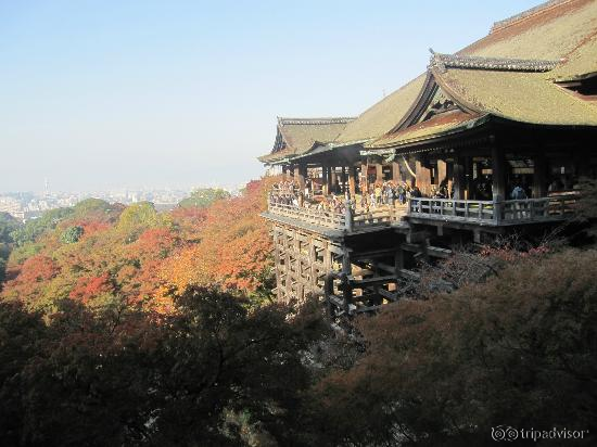 先週(2013.11.17)撮影しました。