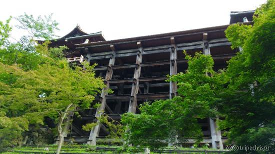 清水の舞台を見上げる