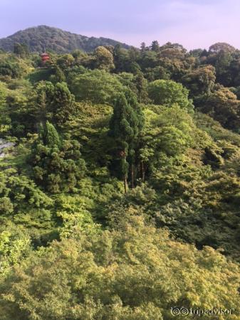 すばらしい景色