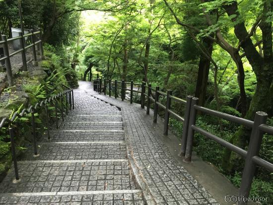 ฝนตก ต้นไม้เขียวขจีช่วงเดือนมิถุนายน