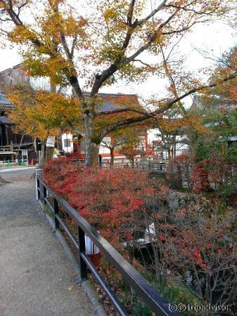 ใบไม้กำลังระบายสีให้บริเวณวัด