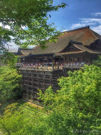 夏日的清水寺本堂。