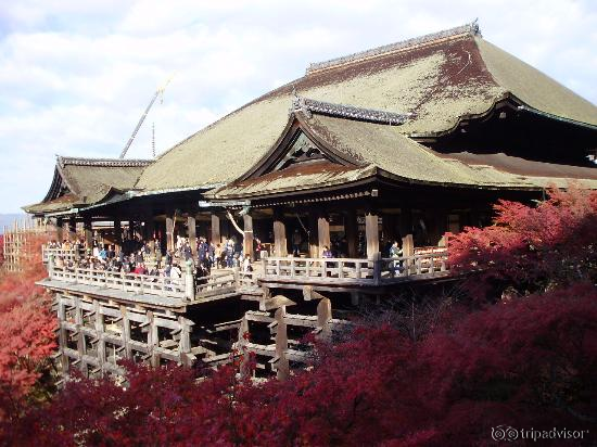 観光客でいっぱいです