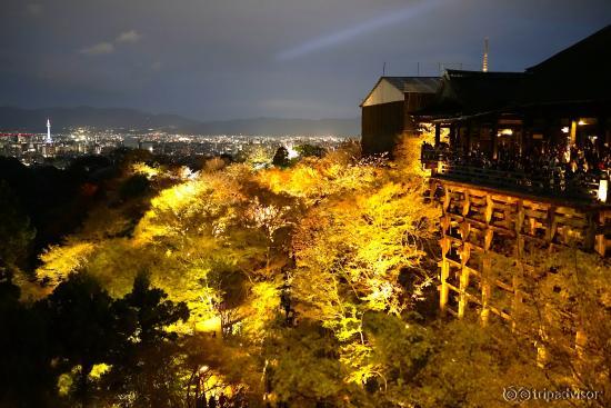 奥の院の通路から本堂方向の夜景