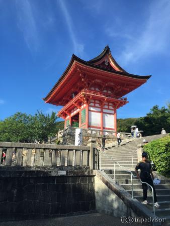 朱色と青のコントラストが最高