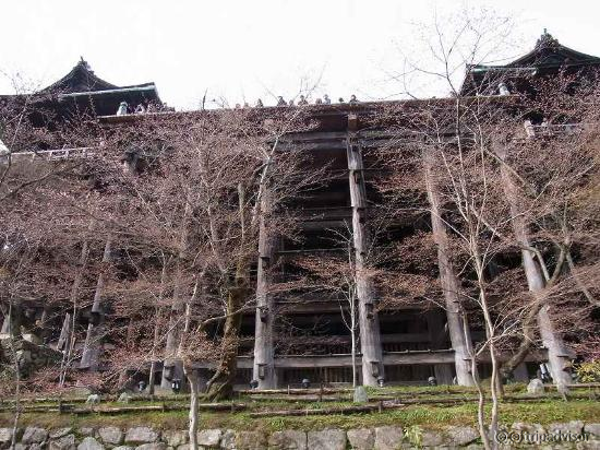 舞台を見上げたものです