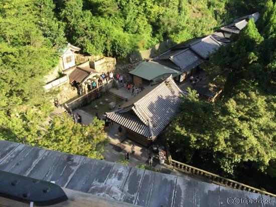 清水の舞台から下を見下ろす・・