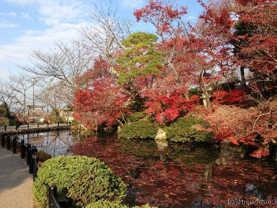 小池子挺有感觉的