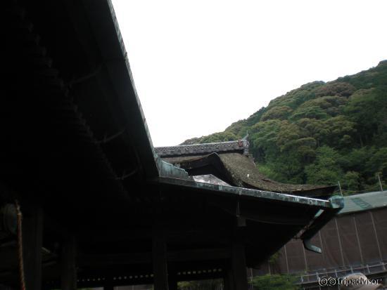 舞台から屋根を見上げてみた・・・