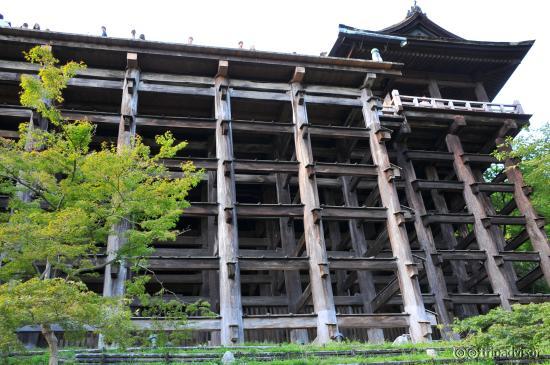 The incredible structure