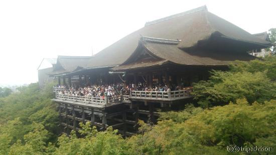 音羽の滝道から