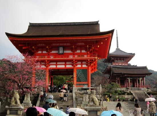 门口，游人络绎不绝