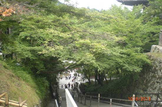 ใบไม้เขียวชะอุ่ม ในบรเวณวัด ฤดูฝน