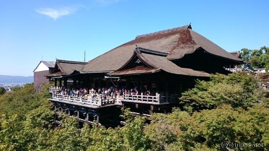 天気に恵まれた清水寺