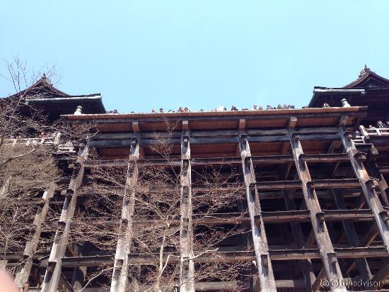 下から見た清水寺