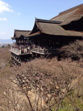 世界中からの観光客の方でいっぱい