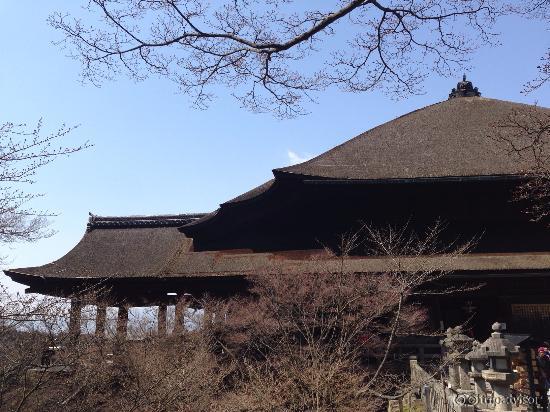 余りの雄大さに足震えます。