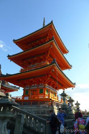 着物姿の方が多かった