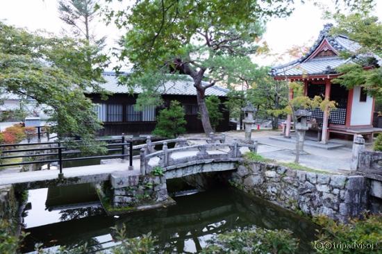 สวนน้อยๆ