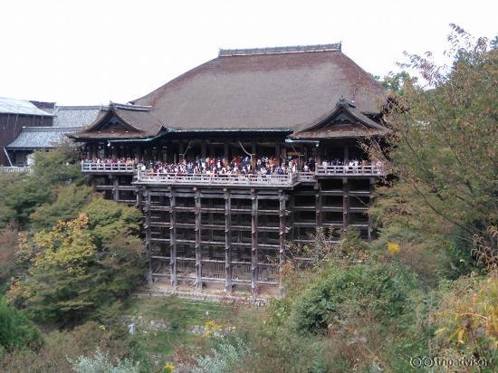 ถ่ายออกมาไม่ค่อยดีเท่าไร