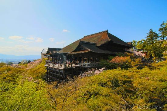 จุดชมวัด