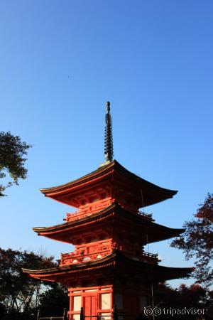 สวยมากค่ะ