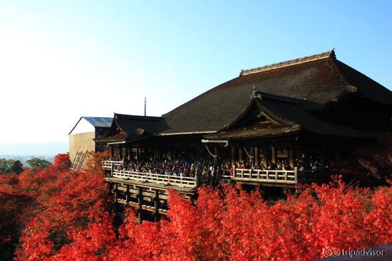 มุมนิยม