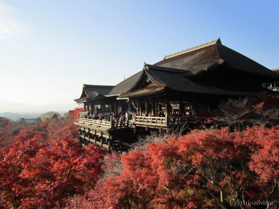 紅葉時期の清水寺