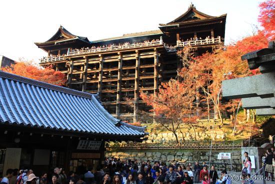 จากด้านล่าง