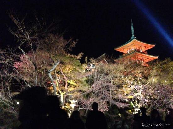 下から見たライトアップ