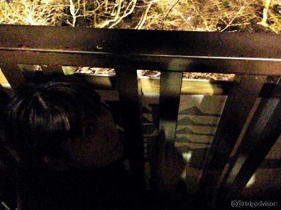 舞台からもすごい迫力