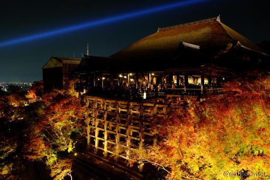 2015秋のライトアップ