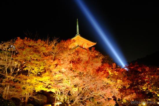 2015秋のライトアップ