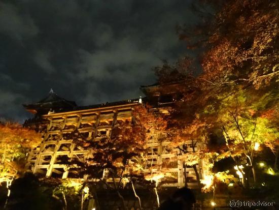 清水寺ﾗｲﾄｱｯﾌﾟ