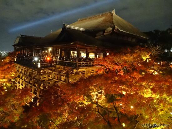 舞台ﾗｲﾄｱｯﾌﾟ