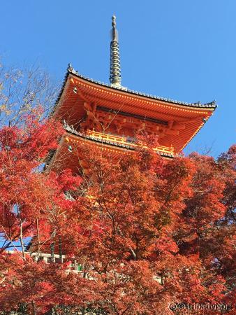 紅葉に包まれた三重塔