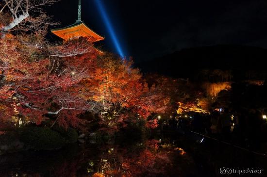 三重塔のライトアップ