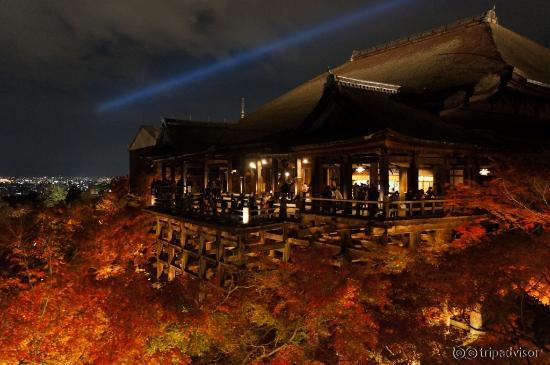 よくパンフレットで見る光景です。