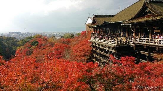 วัดน้ำใส