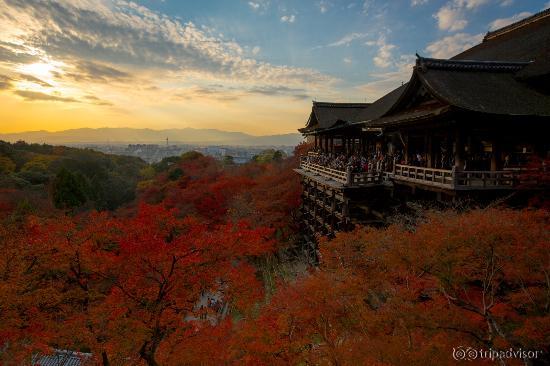 단풍이 예쁜 청수사