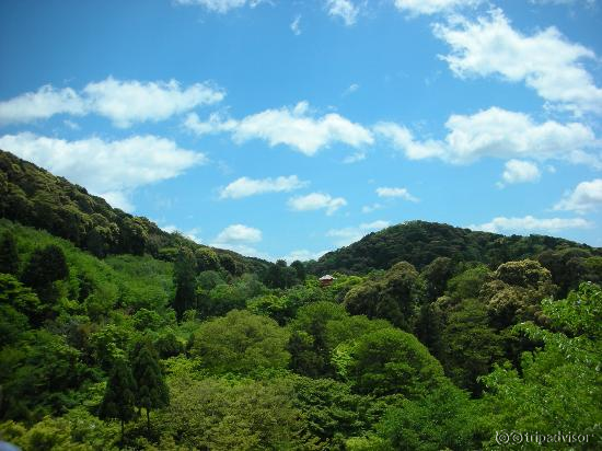 清水寺からの景色
