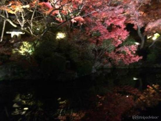 池もいいっすね。