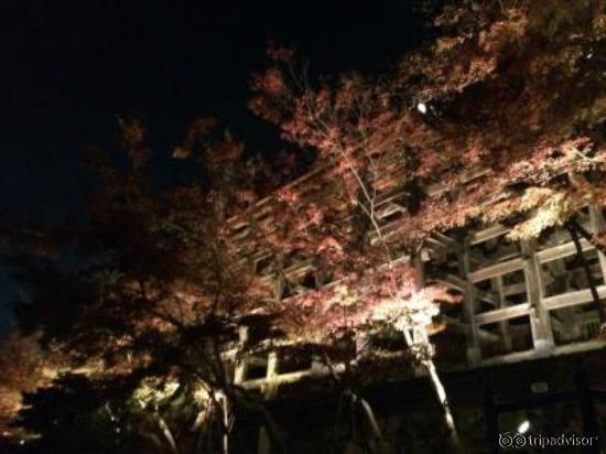 下から舞台を～