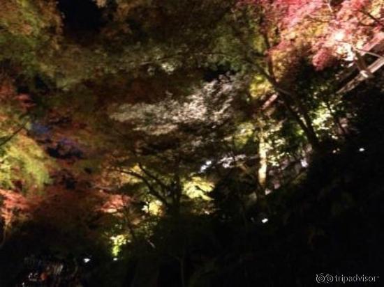 ライトも種々あり。