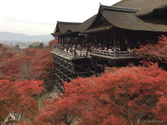清水寺紅葉満開