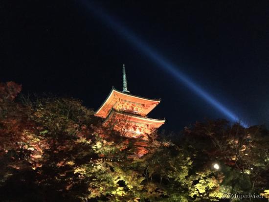 晚上去的时候人暴多 一直在排队 叶子没有很红 但整体来说 站在高处 迎着夕阳 俯视着京都还是另有一番味道