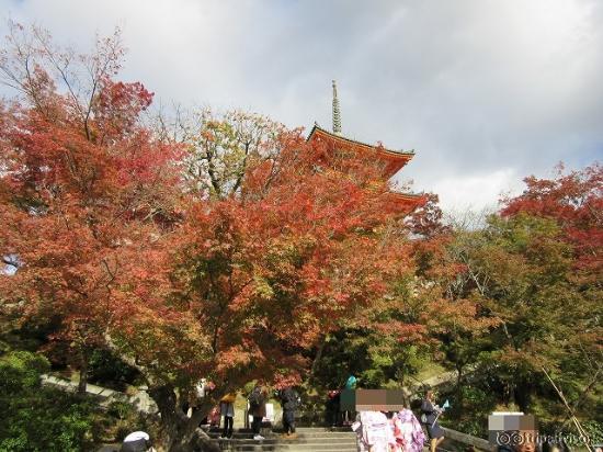 三重塔とこ紅葉