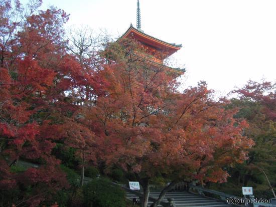 ２０１５年の清水の紅葉